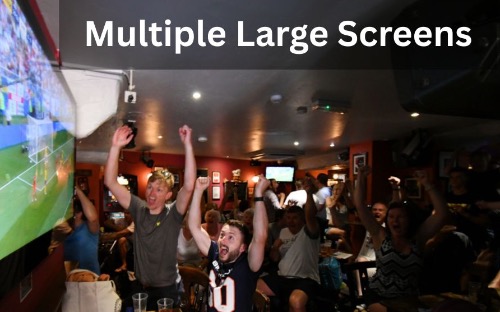 Six Nations & Wales rugby match on sports channel tv at Tenby House 